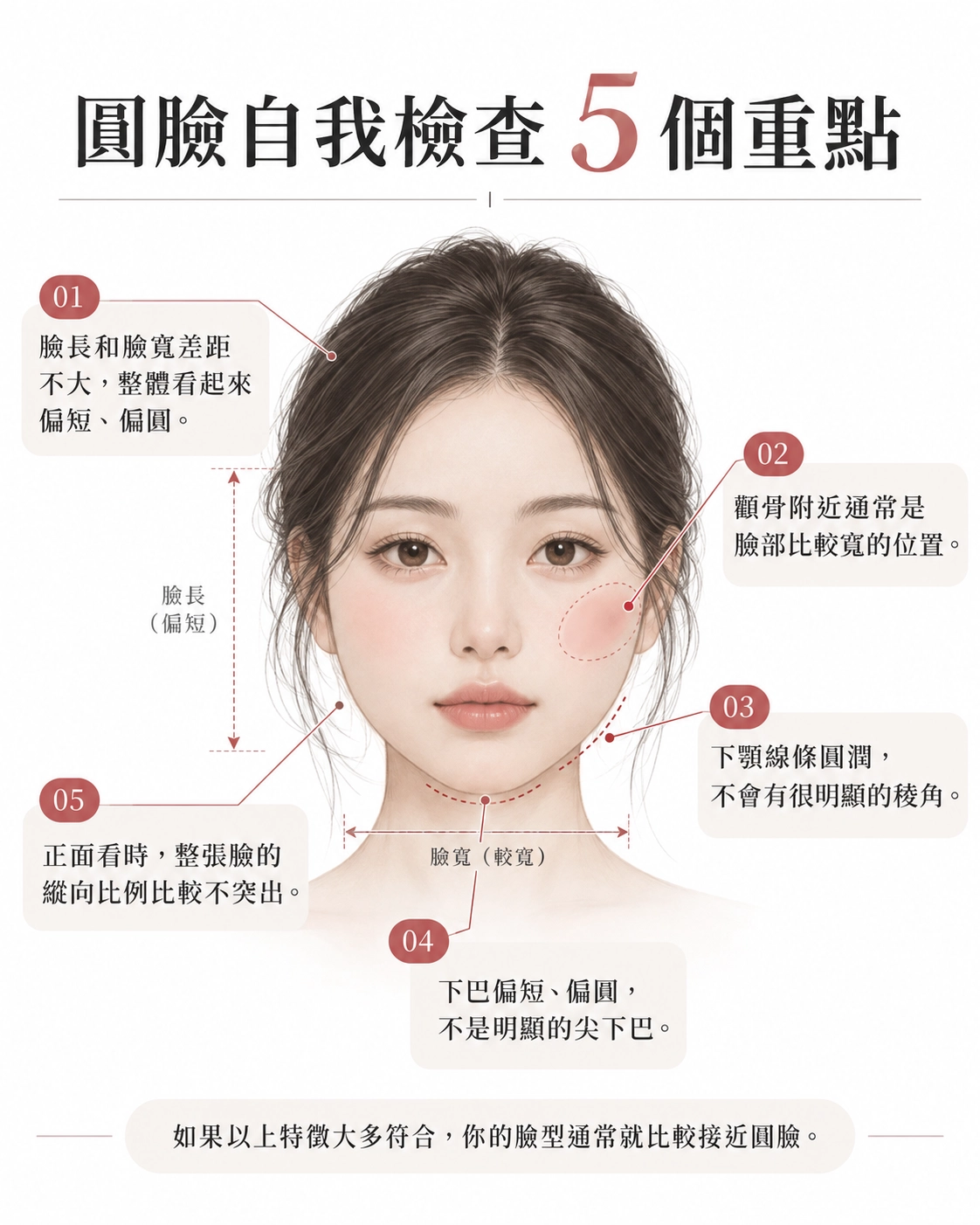 圓臉特徵
